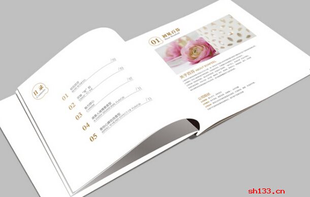 產(chǎn)品畫冊(cè)設(shè)計(jì)